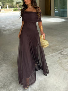 Dainia – Ein-Schulter-Maxikleid Aus Netz – Braun