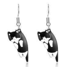 MiauGlamour™ Schicker Katzenhafter Charme – 18
