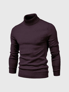 Eleganter Rollkragenpullover für stilvolle Anlässe – Braun